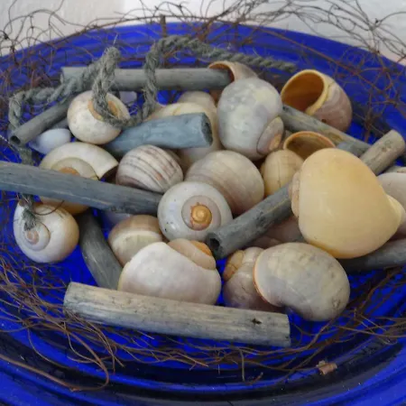 Апартаменты 50001.... Каролинензиль